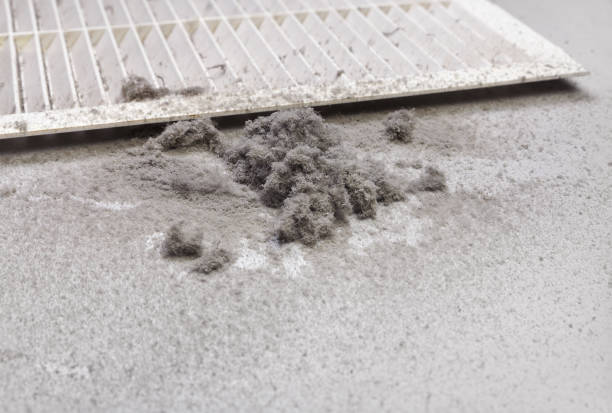 Best Affordable Air Duct Cleaning  in Pender, NE