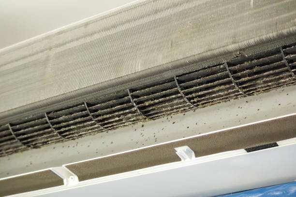 Best Best Air Duct Cleaning Company  in Pender, NE